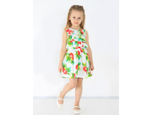 350� ��-247 ������ "��������" (������� � �������)