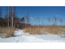 IMG 20180317 134308.jpg