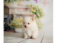 �� 28537402 1702305876557066 1181604769 n.jpg