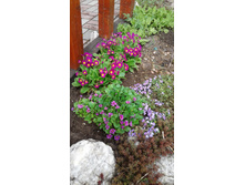 2017 ��� (128).jpg