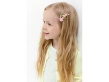 20206320141   Pintail          (   ).jpg