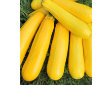 ������� ������ ���������. 3 ���. ����� �����. �������� 3 ��..jpg