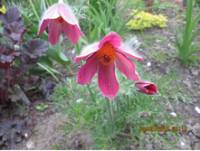 �������� N 3 ������� -80 ���