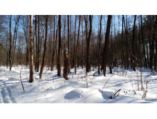 IMG 20180310 121237.jpg