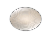 2178-2A 1500�.jpeg