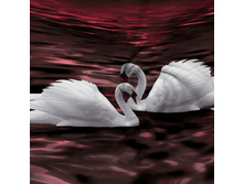 11874 ������ ������� 220 ��.jpg