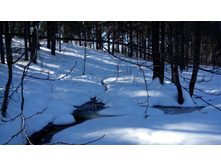 IMG 20180310 120633.jpg