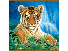 N-212.png