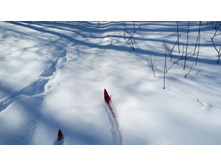 IMG 20180310 115227.jpg