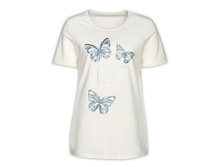 DFT6729/1 �������� ������� (1 �� � ���.)