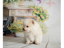 �� 28535581 1702305879890399 738433874 n.jpg