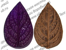 ���� ������������.jpg