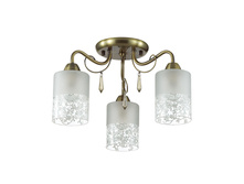 3262-3C 1680�.jpeg