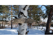 IMG 20180317 144752.jpg