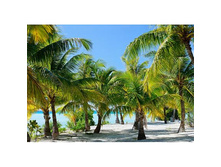 WS0333:360:254 ������ - 950�.jpg