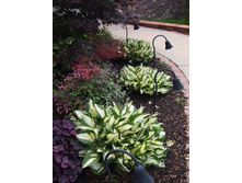 ������ ���������� ���� � ����