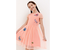 20210200222   Fornax         -          (      ).jpg