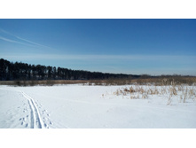 IMG 20180310 111758.jpg