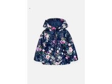 20220130132   Tanager   �����-�����(���) preview.jpeg