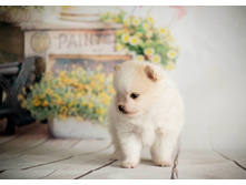 �� 28535622 1702305953223725 1146344732 n.jpg