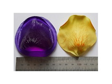 �������� ���� �������� L.jpg