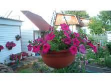 2012 ��� (12).JPG