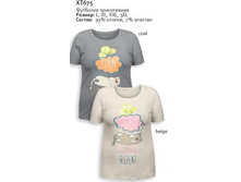 XT675 �������� ������� (1 �� � ���.).jpg