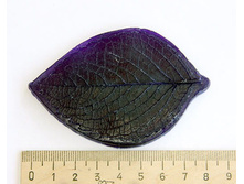 ���� ����.jpg