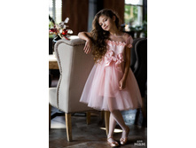 ���. ����