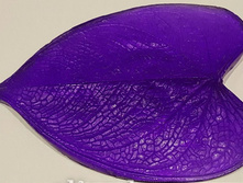 ���� �������� L.jpg