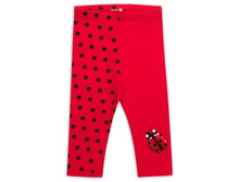 GFL3048 ����� ��� ������� (1 �� � ���.)