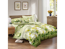 ������ ����� (70223).jpg