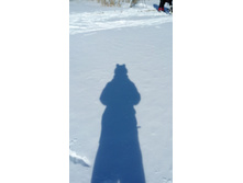 IMG 20180317 134405.jpg