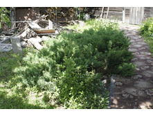 2016 ��� (70).JPG