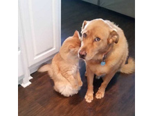 � �ݣ �� ���� ��� ��� ��������� ...