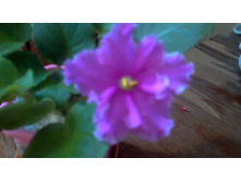 ������ ���-������ �����