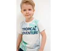 20120110107   Bradbury   �������� preview.jpeg