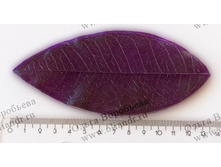 ���� ��������.jpg