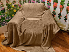 ���� �������� ���. 737-181.jpg