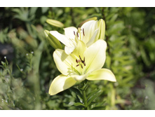 2016 ��� (24).JPG