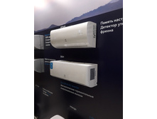 ������ ����� 2018