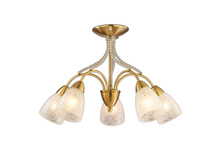 2541-5C 4000�.jpeg