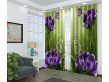 09285 ��������� �������� ����.jpg