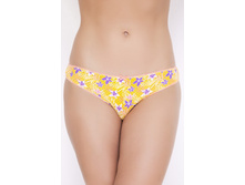 DS2297 ����� �������� �������.jpg