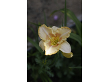 2016 ��� (23).JPG