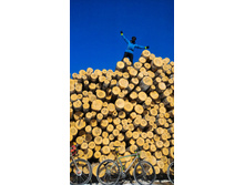 P 20180317 101859-01.jpeg