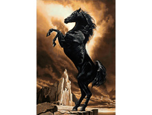 Org ������� ���� 48�70 Ag 556.jpg