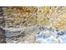 P 20180308 161735 HDR-01.jpeg