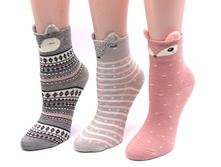 � ����.����