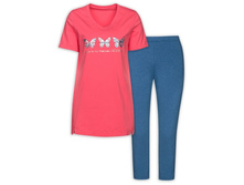 PFAML6729 �������� ������� (1 �� � ���.)